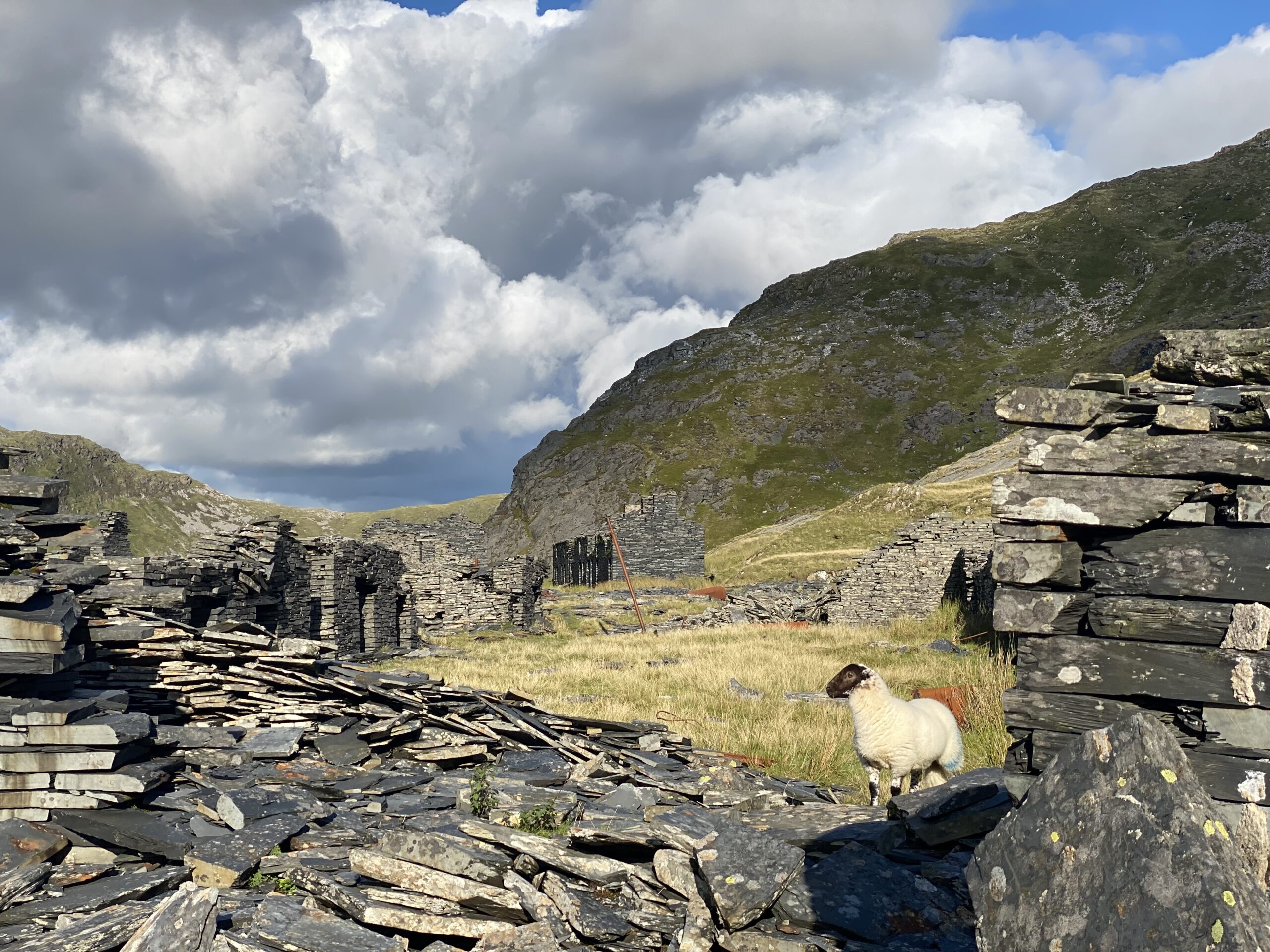 Abandoned Miners Cottages at Cnicht.