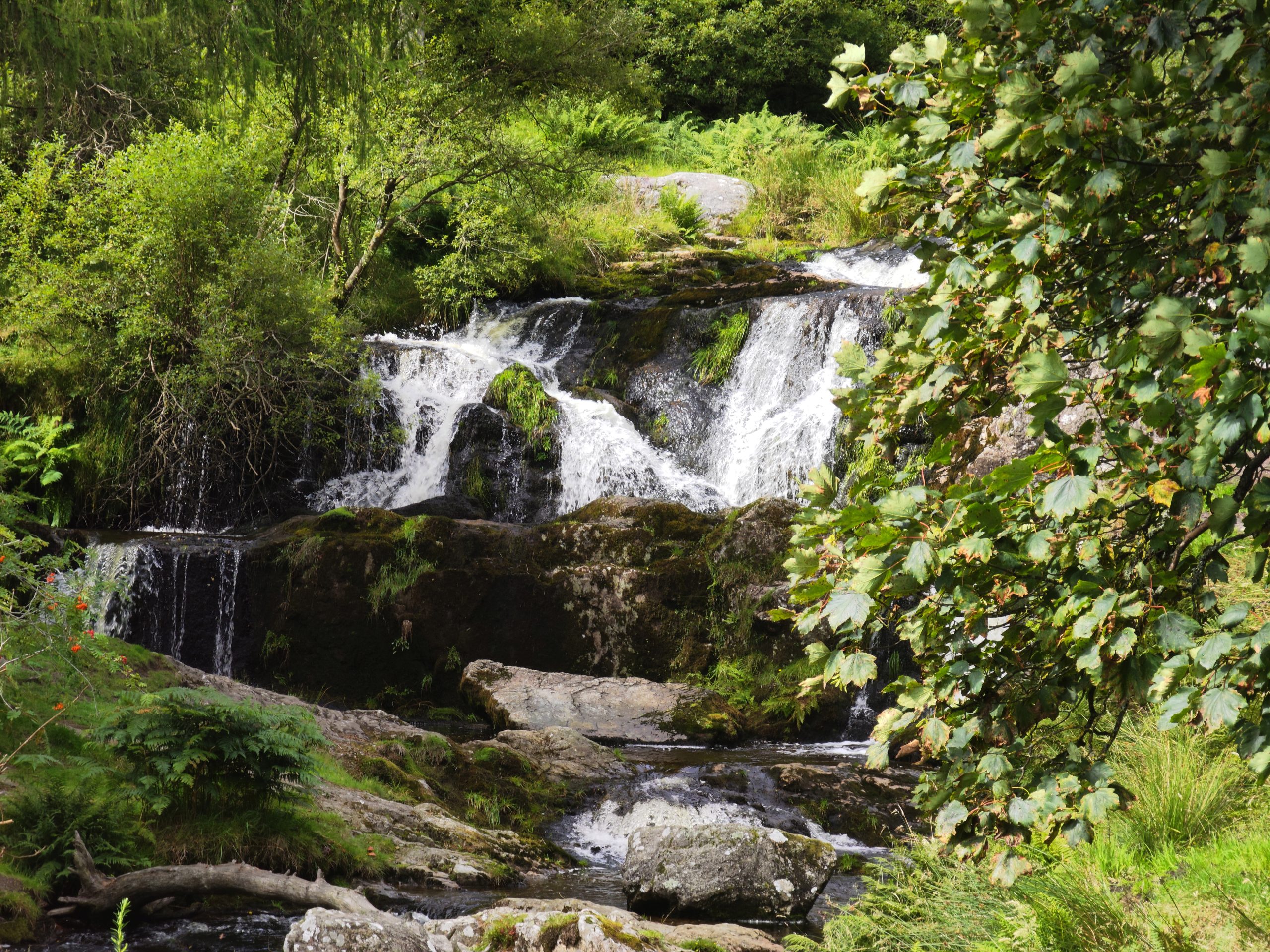 Pistyll Rhaeadr